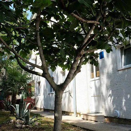 Apartman Vranela Biograd na Moru